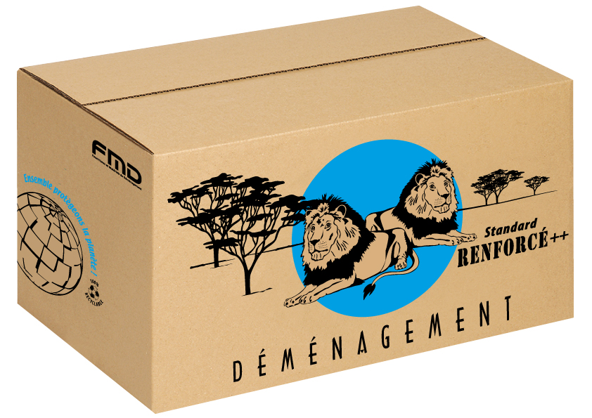 CARTON STANDARD RENFORCE ECRU ++