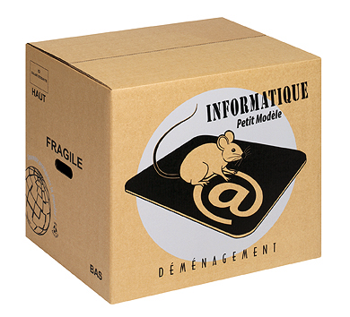 CARTON INFORMATIQUE - Petit Modèle
