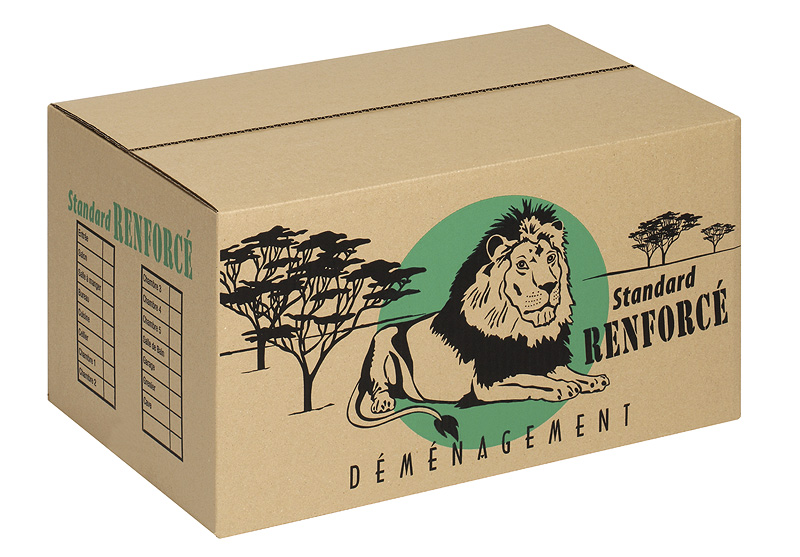 CARTON STANDARD RENFORCE ECRU
