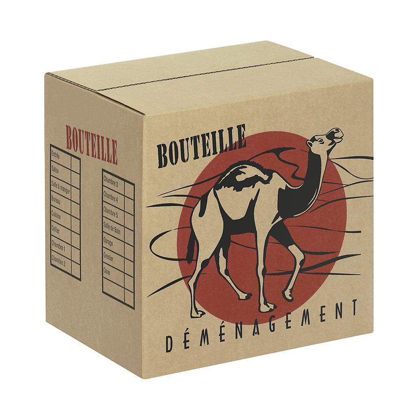 CARTON 12 BOUTEILLES